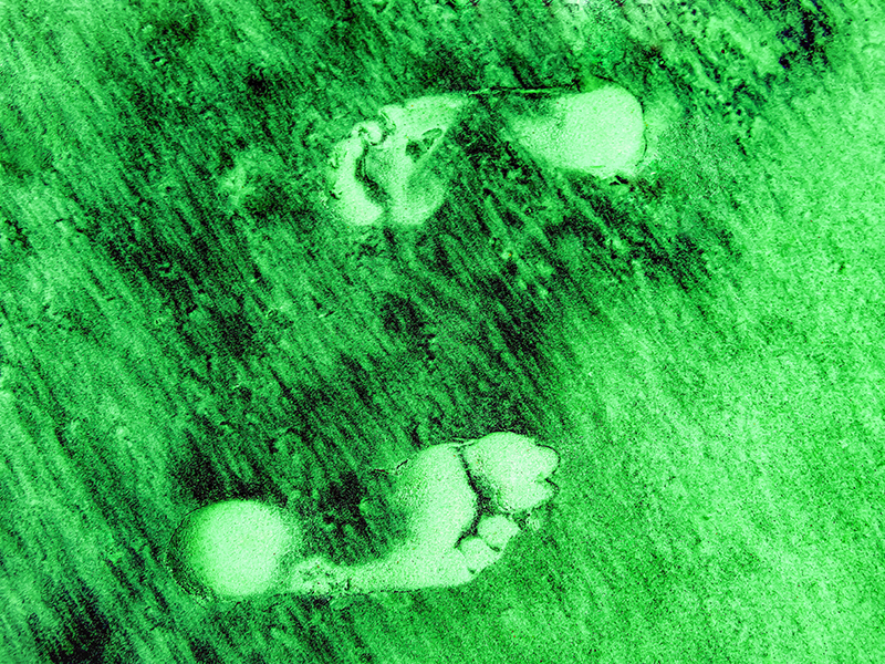 carbon footprints in green coloured sand